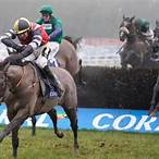 horses to bet on grand national